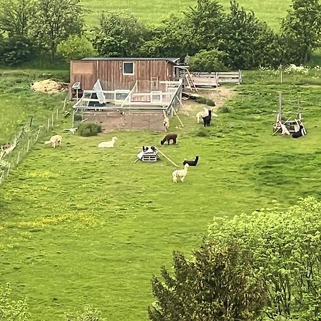 Gemuetliche 3-Zimmer-Wohnung Mit Panoramablick Und Kostenlosem Ueberdachten Parkplatz Winterberg Exterior foto