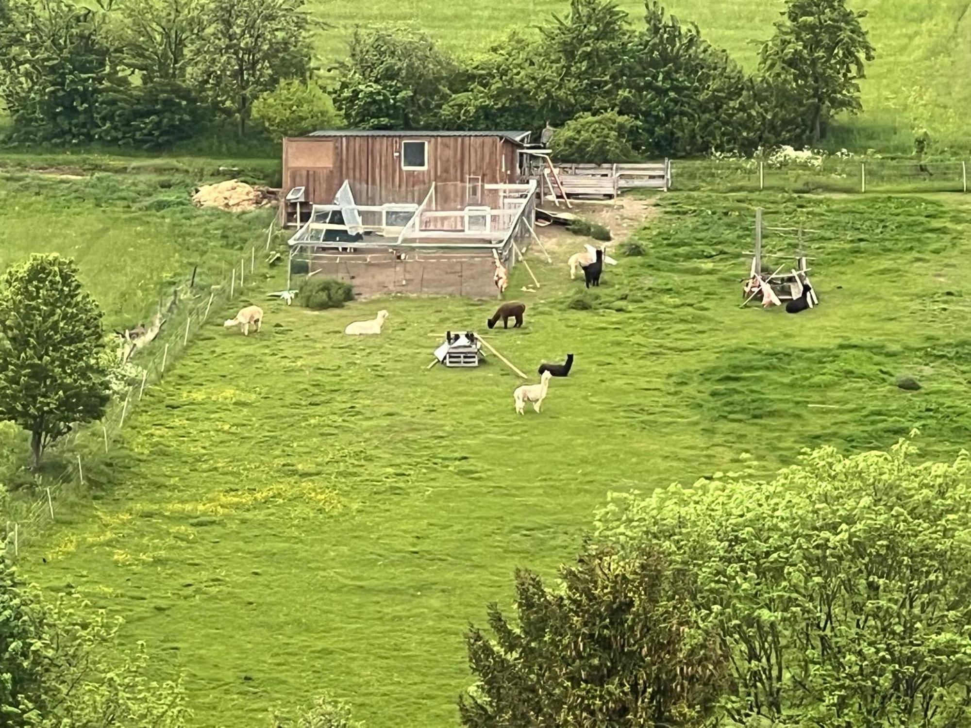 Gemuetliche 3-Zimmer-Wohnung Mit Panoramablick Und Kostenlosem Ueberdachten Parkplatz Winterberg Exterior foto